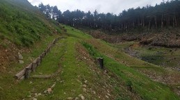 thumbimg