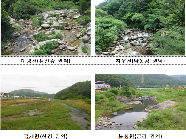 환경부, 전국 하천 2천여 개 조사, 172개 하천 수생태계 우수