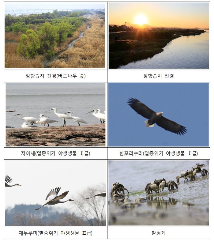 환경부, ′장항습지′ 람사르 습지 공식 등록