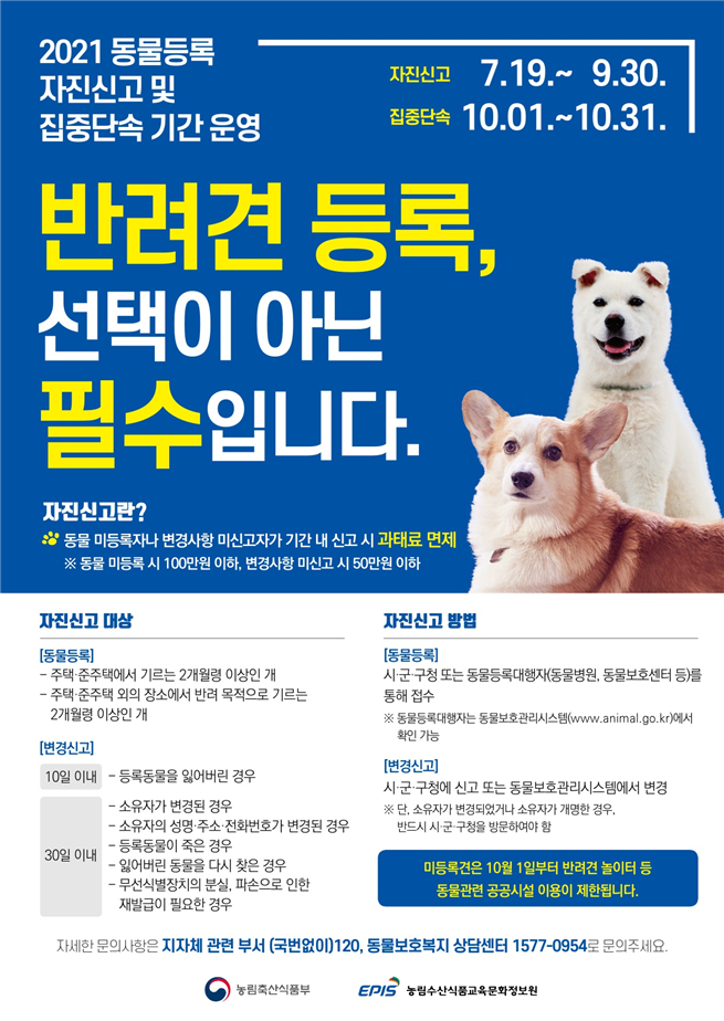 서울시, '동물등록 자진신고' 기간 운영…반려견 등록은 선택 아닌 필수 - Vimarsana News