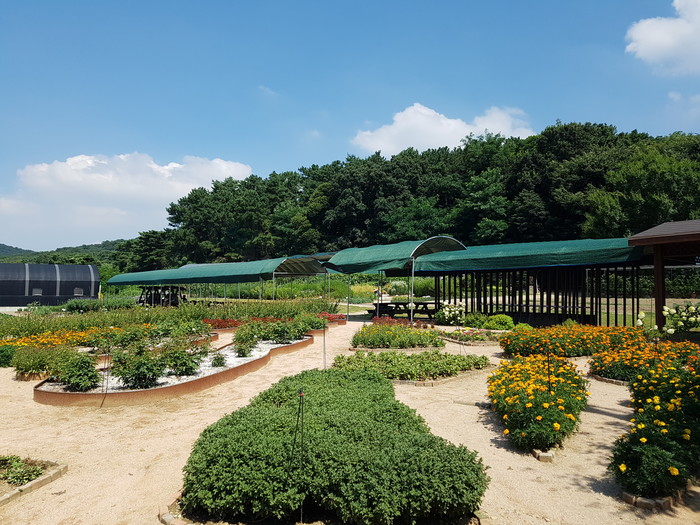 서울시농업기술센터, 전국 최초 '치유농업사 양성기관' 지정…교육생 선발 - Vimarsana News